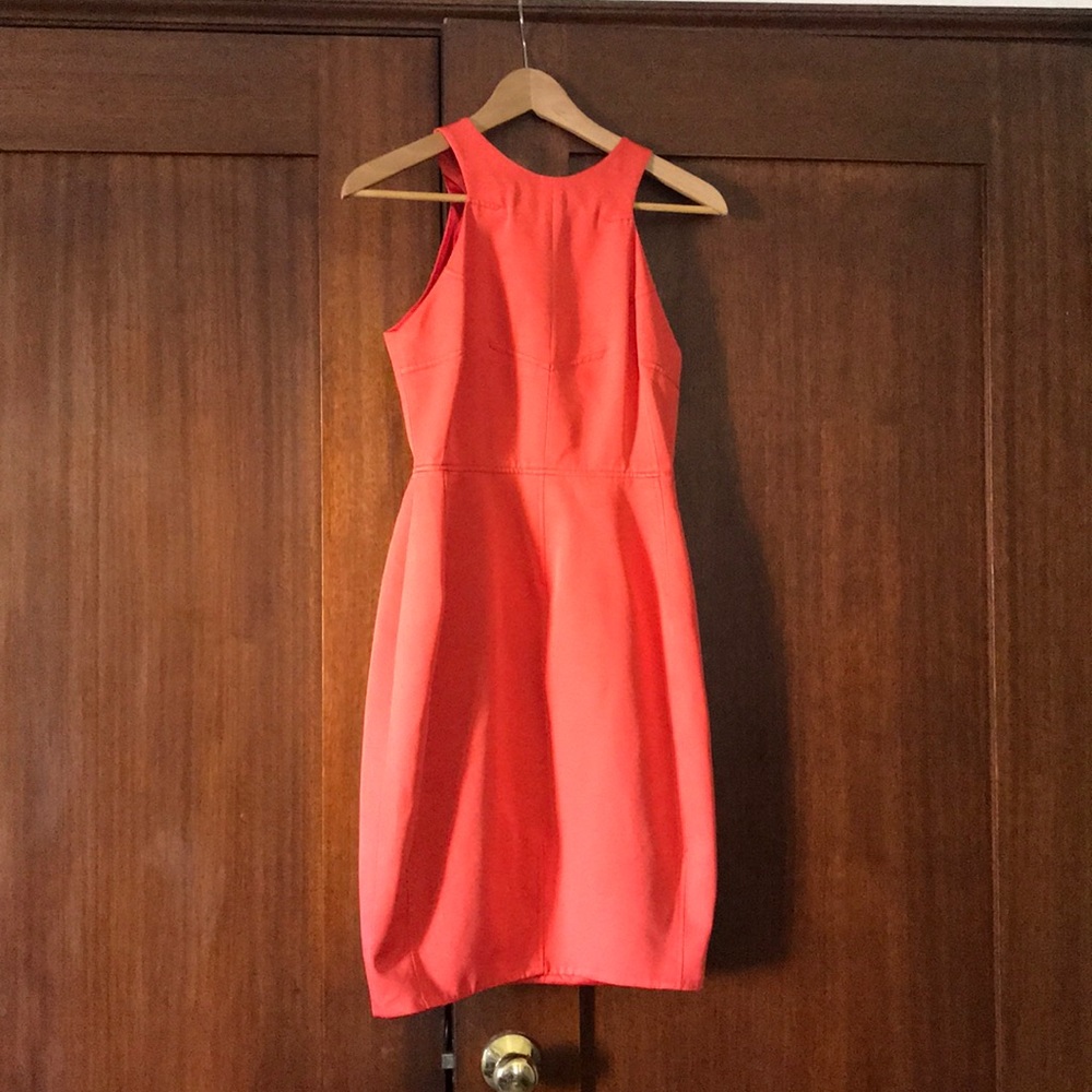 Coral dress (4)